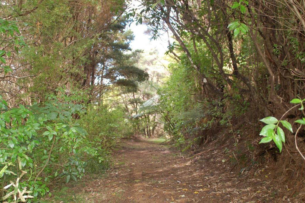Kohinui Glade Holiday Cottage Parua Bay Exterior foto