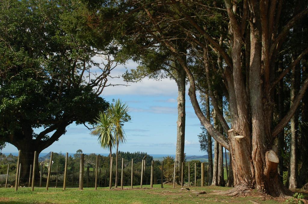 Kohinui Glade Holiday Cottage Parua Bay Exterior foto